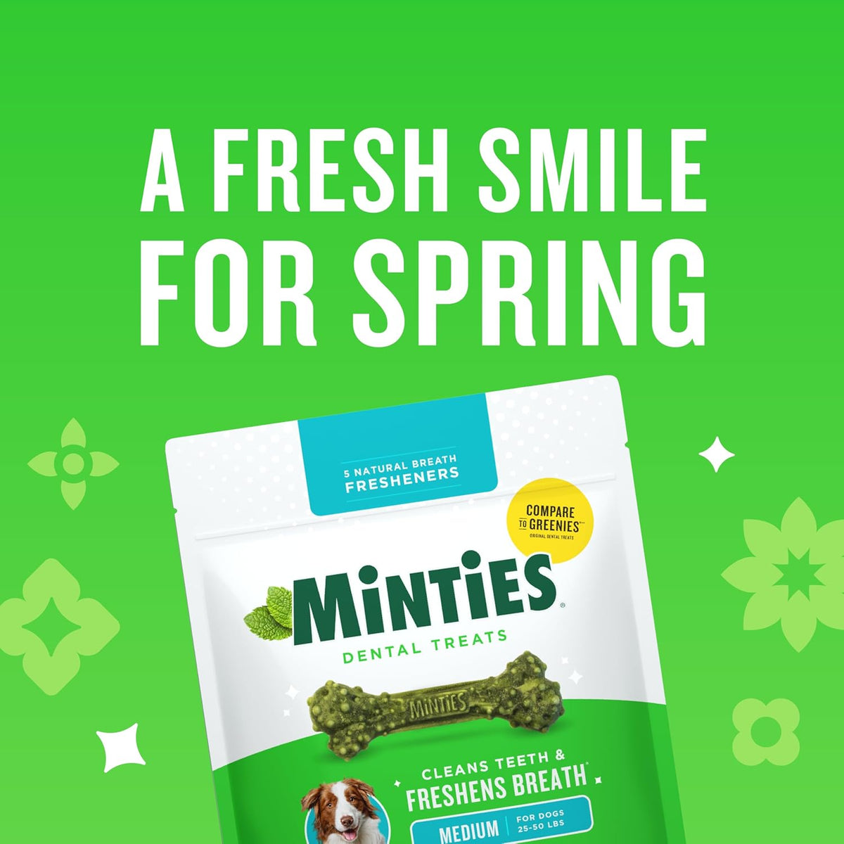 Minties Mint Dental Chews for Dogs, Medium 25-50 Lbs, 20 Ct