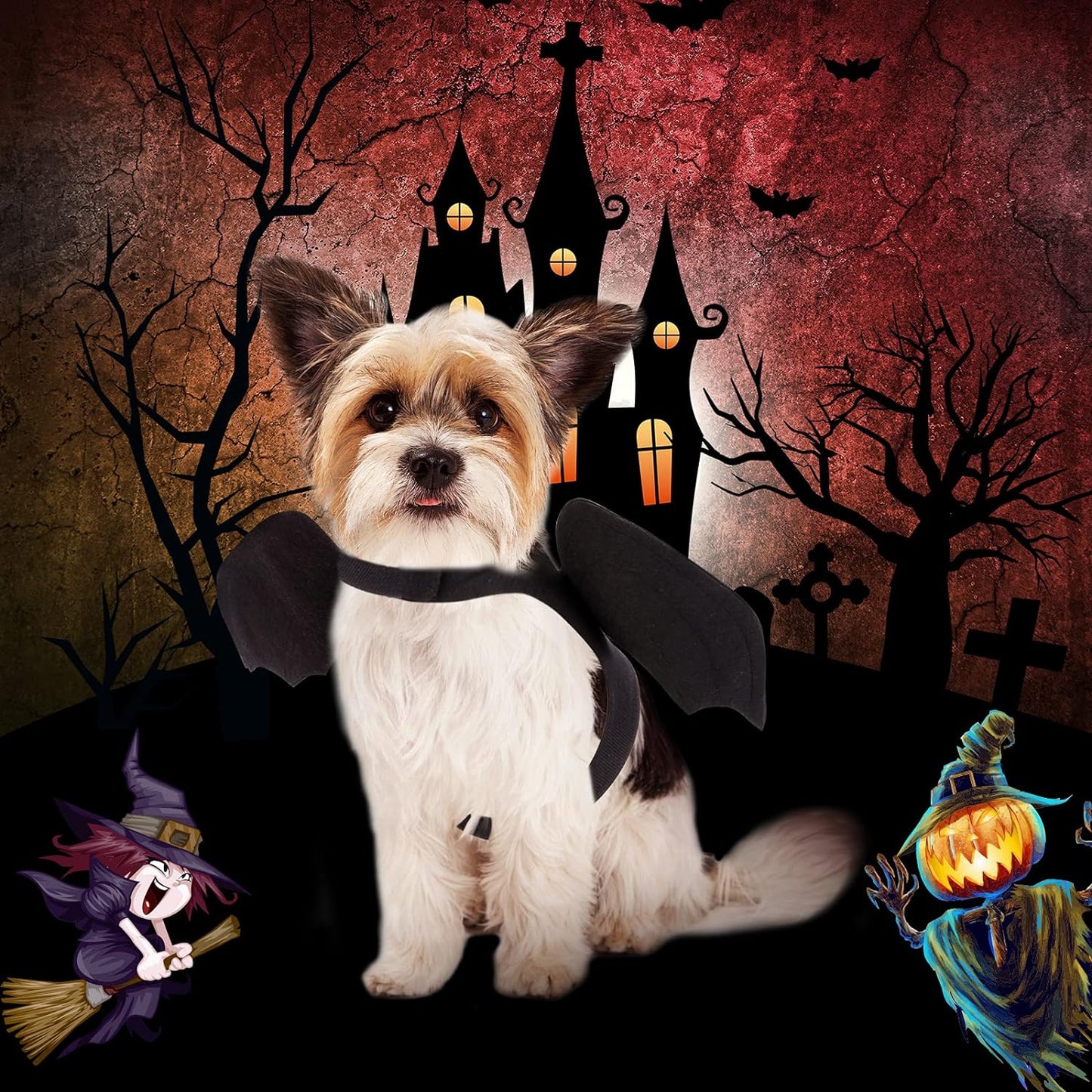 Dog Halloween Costume - Halloween Bat Wings Pet Costumes for Dogs Cats Halloween Party Medium