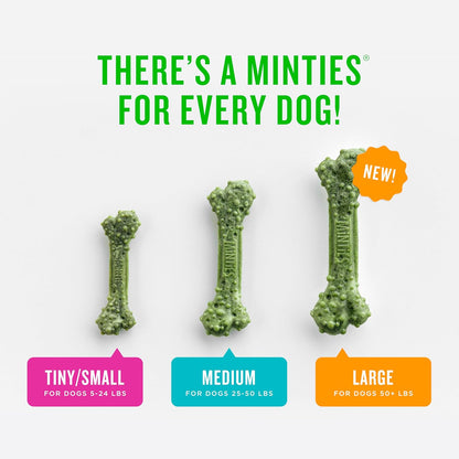 Minties Mint Dental Chews for Dogs, Medium 25-50 Lbs, 20 Ct
