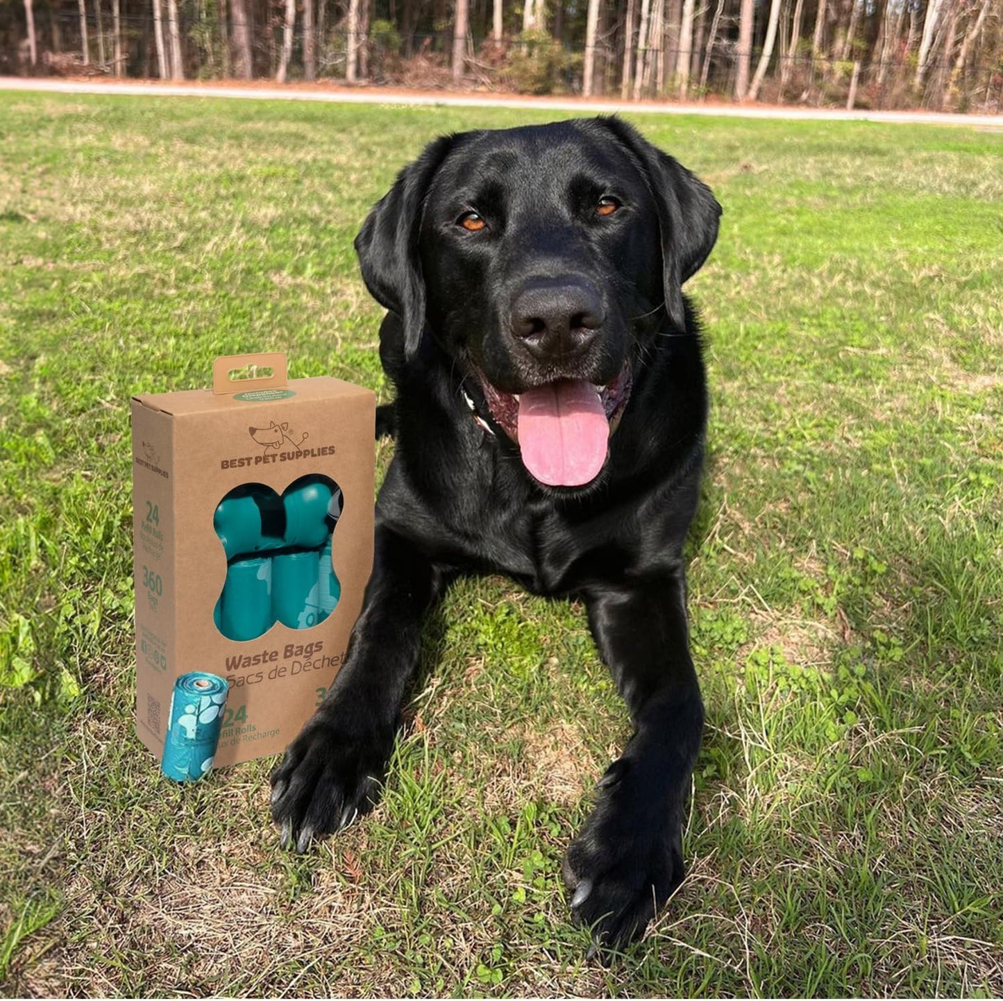 Dog Poop Bags for Waste Refuse Cleanup, Doggy Roll Replacements for Outdoor Puppy Walking and Travel, Leak Proof and Tear Resistant, Thick Plastic